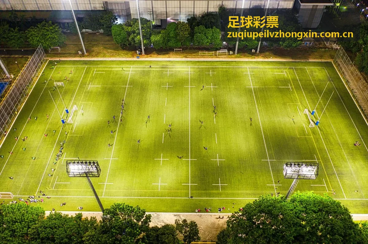 足球彩票胜平负玩法图解